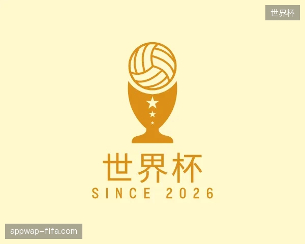 解读世界杯官方